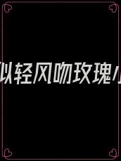 爱你似轻风吻玫瑰小说