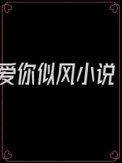 爱你似风小说
