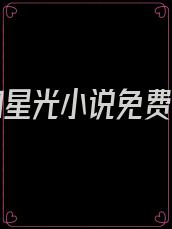 爱你如星光小说免费阅读