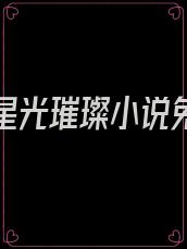 爱你如星光璀璨小说免费阅读