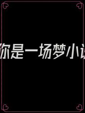 爱你是一场梦小说