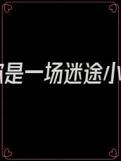爱你是一场迷途小说
