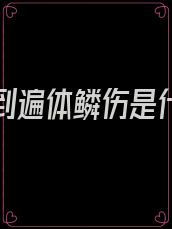 爱你爱到遍体鳞伤是什么歌曲