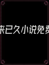 爱你由来已久小说免费阅读
