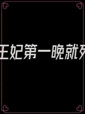王爷王妃第一晚就死了