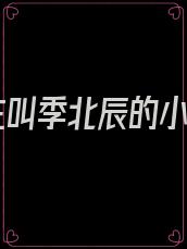 男主叫季北辰的小说
