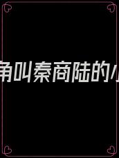 男主角叫秦商陆的小说