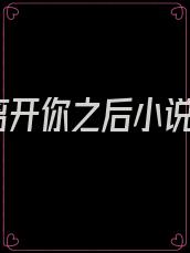 离开你之后小说