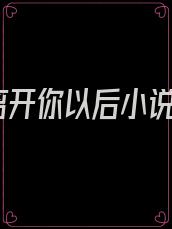 离开你以后小说