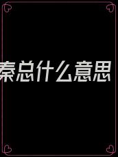 秦总什么意思