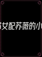 穿书女配苏薇的小说