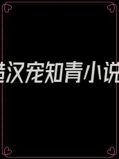 糙汉宠知青小说