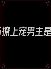 纪爷撩上宠男主是谁