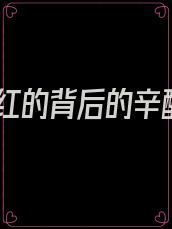 网红的背后的辛酸