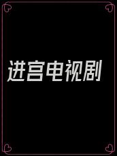 进宫电视剧