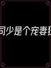重生司少是个宠妻狂魔