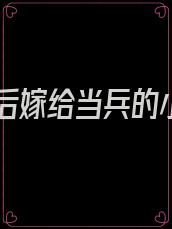 重生后嫁给当兵的小说