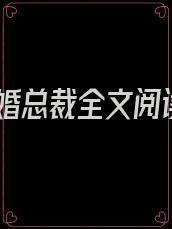 隐婚总裁全文阅读
