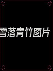 雪落青竹图片