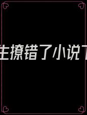 霍先生撩错了小说下载