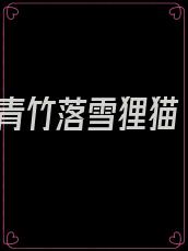 青竹落雪狸猫
