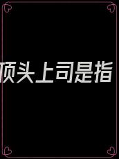 顶头上司是指