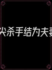 顶尖杀手结为夫妻