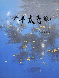 《十年太子妃》念念季宸小说精彩内容在线阅读