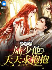 叶蓁陆栖迟小说章节目录 离婚后陆少他天天求抱抱全文阅读