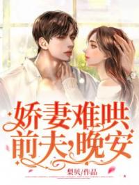 娇妻难哄：前夫，晚安！全本资源 秦茶商诀完整未删减版