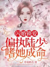 闪婚锁爱：偏执陆少嗜她成命顾清溪陆景翊小说全文免费试读