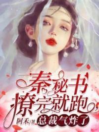 秦秘书撩完就跑，总裁气炸了靳司尧秦娆小说全本在线阅读
