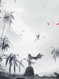 寂灭十年叶无缺叶无缺慕容冰兰目录_寂灭十年叶无缺小说阅读