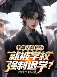 林云于秀妮小说叫什么_让你造无人机，你把顶级战机研究出来了？小说