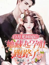 白月光回国后，她藏起孕肚跑路了小说全文精彩章节在线阅读（厉霆西苏又灵）
