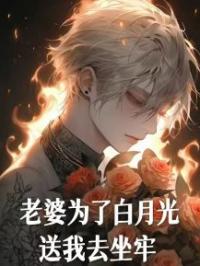 老婆为了白月光送我去坐牢连烟顾城舟小说全本在线阅读