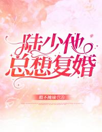 陆少他总想复婚叶初冉陆君泽小说_陆少他总想复婚小说章节