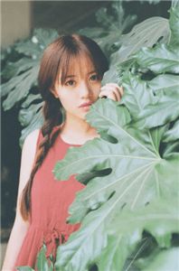 离婚后，立刻和冤家结婚了小说最新章节免费试读（完整版未删节）