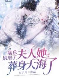 陆总别虐了，夫人她葬身大海了完整版全文阅读 顾莞陆墨琛小说 大结局
