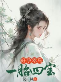 好孕翠鸟，一胎四宝全文免费试读 青溪辉明小说大结局无弹窗