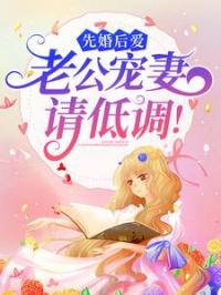 先婚后爱：老公宠妻请低调！完整全文阅读 宋以宁邢穆琛小说结局无删节