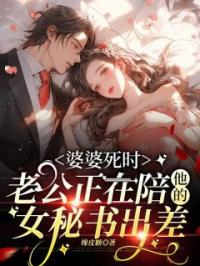 婆婆死时，老公正在陪他的女秘书出差(叶思梦谢言)全文完结在线阅读完整版