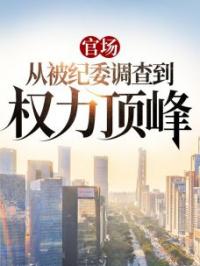 官场：从被纪委调查到权力顶峰程大龙宋爱娟小说精彩章节在线阅读