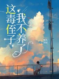《这毒侄子我不养了》陆潇潇陆晨阳小说精彩章节在线阅读